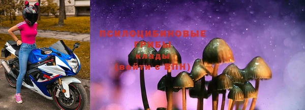 не бодяженный Магас