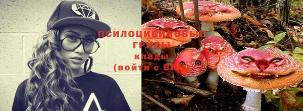 гидра Долгопрудный