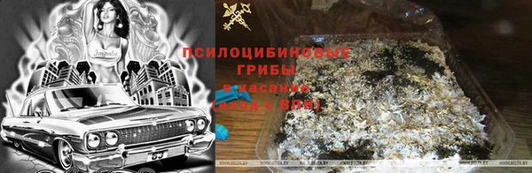 ГАЛЛЮЦИНОГЕННЫЕ ГРИБЫ Мегион
