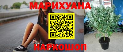 мяу мяу мука Будённовск