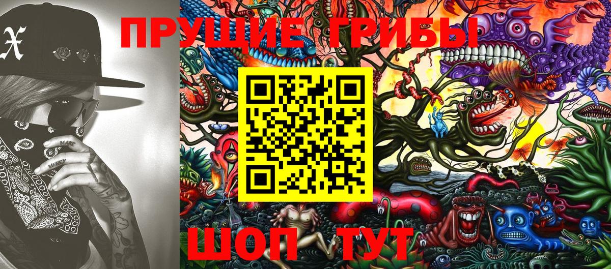 Галлюциногенные грибы мицелий  Вход с VPN  Каменск-Шахтинский 